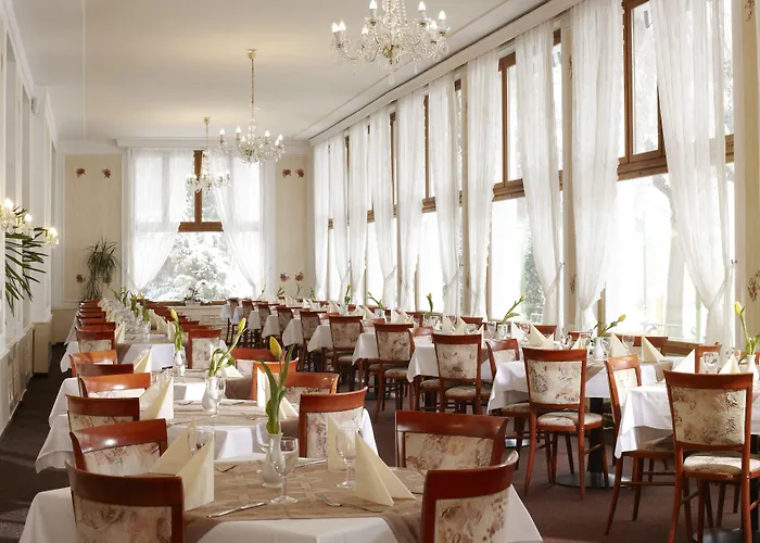 Hotel Belvedere Spa&kurhotel Františkovy Lázně